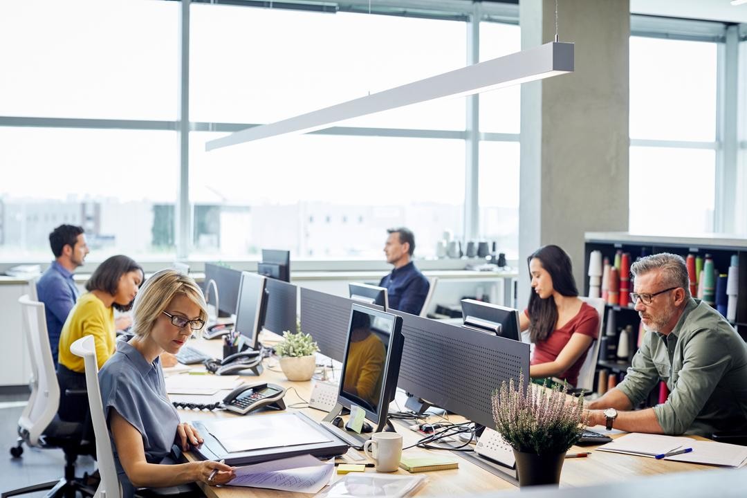 Board members using a board portal software
